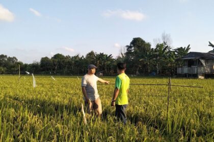 Lahan Pertanian di Kabupaten Kukar. Foto: Dok Humas
