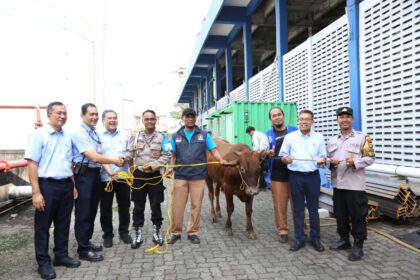Jajaran PT Indofood Sukses Makmur Tbk Divisi Bogasari membagikan sebanyak 66 hewan kurban dalam perayaan Idul Adha 1446 Hijriah ke berbagai kelompok masyarakat di sekitar lingkungan pabrik, Kamis (5/6/2025). Foto: Ist