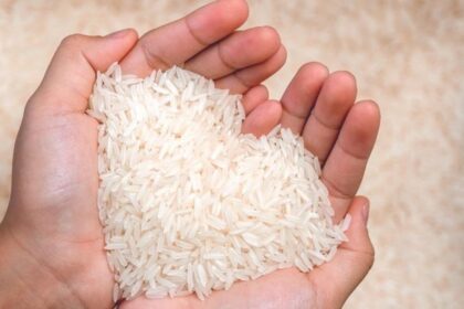Ilustrasi beras. Foto: Getty Images/iStockphoto