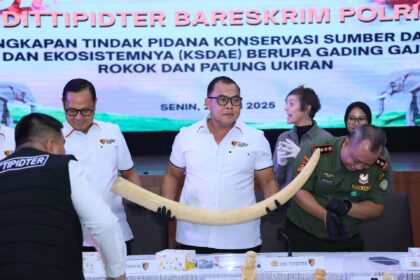 Polisi menunjukkan barang sitaan. Foto: tribaratanews.