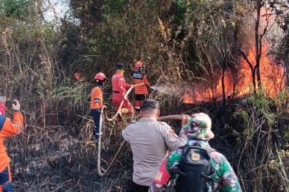 BPBD Kabupaten Ogan Ilir, Manggala Agni Daops Banyuasin beserta tim gabungan berupaya memadamkan kebakaran dan hutan dan lahan (karhutla) di Kecamatan Indralaya Utara, Kabupaten Ogan Ilir, Sumatera Selatan, Minggu (15/6/2025). Foto: BPBD Kabupaten Ogan Ilir