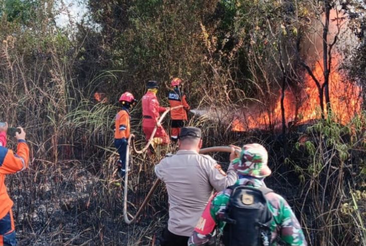 BPBD Kabupaten Ogan Ilir, Manggala Agni Daops Banyuasin beserta tim gabungan berupaya memadamkan kebakaran dan hutan dan lahan (karhutla) di Kecamatan Indralaya Utara, Kabupaten Ogan Ilir, Sumatera Selatan, Minggu (15/6/2025). Foto: BPBD Kabupaten Ogan Ilir
