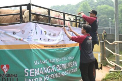 sapi art