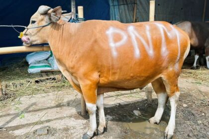 Sebagai bentuk syukur perjalanan PNM hingga saat ini, PNM mengajak karyawannya untuk sedekah kurban melalui berbagai aktivitas yang dikonversi menjadi nominal donasi.