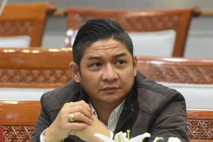 Pasha Ungu,