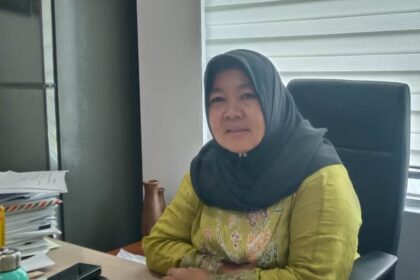 Anggota Fraksi Demokrat, Neneng Hasanah