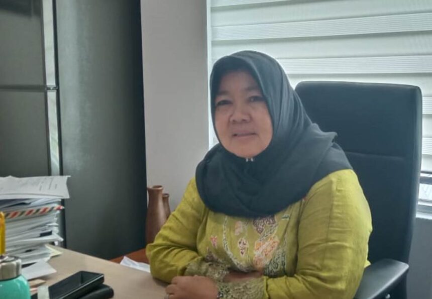 Anggota Fraksi Demokrat, Neneng Hasanah