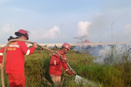 Petugas berupaya memadamkan api di Kecamatan Indralaya, Kabupaten Ogan Ilir, Provinsi Sumatera Selatan, (15/7/2025). Foto BPBD Kabupaten Ogan Ilir