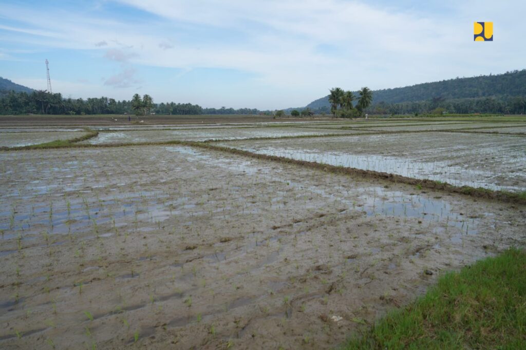 Menteri PU Kunjungi Pulau Buton, Targetkan Jadi Sasaran Utama Inpres Irigasi 3 13079450 3502 44a0 a9f0 c20595723cfd