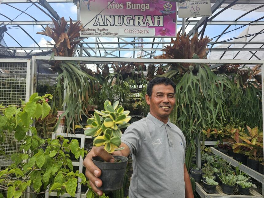 Tono (54), warga Kota Batu sudah terlanjur jatuh cinta pada tanaman bunga hias dan taman. Foto: Dok BRI