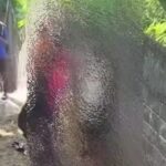 Seorang pelajar di SMPN Doko, Desa Sumberurip, Kecamatan Doko, Kabupaten Blitar menjadi korban penganiayaan. Foto: Tangkap layar IG @info.negri