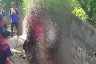 Seorang pelajar di SMPN Doko, Desa Sumberurip, Kecamatan Doko, Kabupaten Blitar menjadi korban penganiayaan. Foto: Tangkap layar IG @info.negri