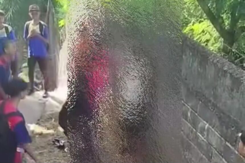 Seorang pelajar di SMPN Doko, Desa Sumberurip, Kecamatan Doko, Kabupaten Blitar menjadi korban penganiayaan. Foto: Tangkap layar IG @info.negri