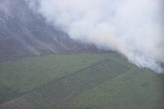 Kondisi kebakaran hutan dan lahan terjadi di Wilayah Kabupaten Rokan Hilir, Provinsi Riau, pada Senin (21/7/2025). Foto: Ist