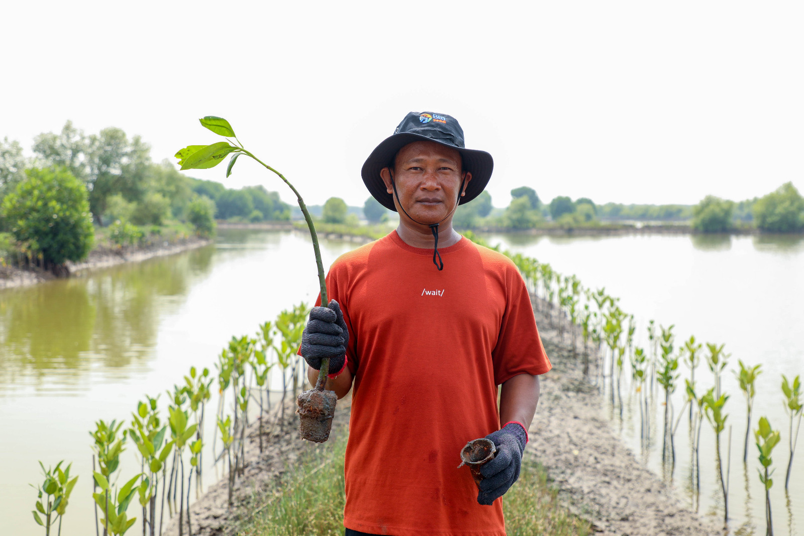 BRI Menanam- Grow & Green berupa kegiatan penanaman 10.000 pohon Mangrove di kawasan pesisir Muara Gembong, Kabupaten Bekasi, Jawa Barat. Foto: BRI 