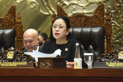 Ketua DPR Puan Maharani