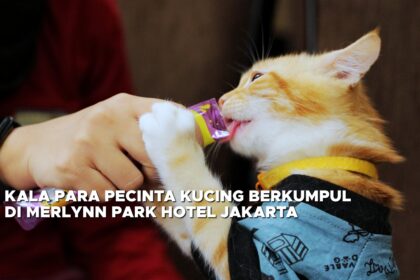 Kala Para Pecinta Kucing Berkumpul di Merlynn Park Hotel Jakarta