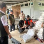 Percepat Penanganan Banjir Jabodetabek, BNPB Lanjutkan Operasi Modifikasi Cuaca