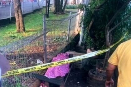 Jasad anak laki-laki berusia 5 tahun yang ditemukan tewas di taman kawasan Radio Dalam, Jaksel. Foto: Instagram @jaksel.kabarku