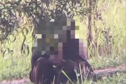 Nekat sepasang pelajar asyik melakukan aksi tak senonoh di Taman Sutet Citra Indah, Jonggol. Foto: Tangkap layar IG @infocileungsikita