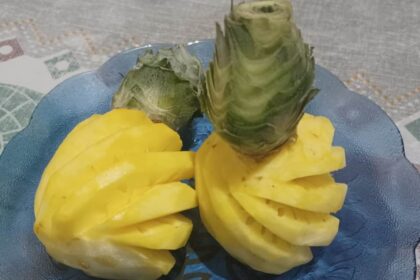 Nanas yang bisa meredakan batuk. Foto: Joesvicar Iqbal/ipol.id