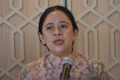 Ketua DPR Puan Maharani. Foto: parlementaria