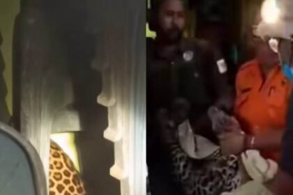 Petugas mengevakuasi macan tutul yang masuk ke Balai Desa Kutamandarakan, Kecamatan Maleber, Kabupaten Kuningan. Foto: Tangkapan layar Instagram @majeliskopi08