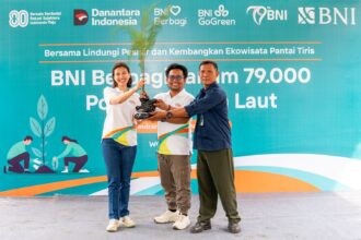 PT Bank Negara Indonesia (Persero) Tbk atau BNI menggelar penanaman 79.000 bibit pohon cemara laut di Pantai Tiris, Indramayu, Jumat (8/8/2025), sebagai bagian dari rangkaian perayaan hari ulang tahun ke-79. Foto: Dok BNI