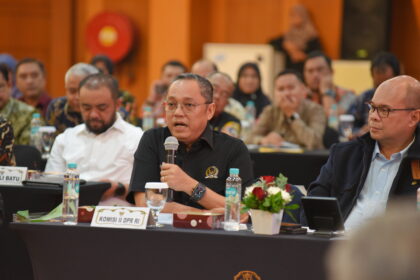 Anggota Komisi II DPR RI, Deddy Sitorus