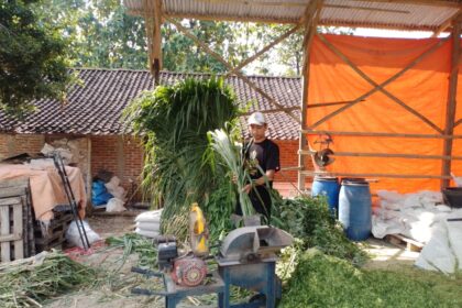 Tommy Wavolta, warga Dukuh Jetis Desa Plancungan, Kecamatan Slahung, Ponorogo, membuktikan bahwa Kredit Usaha Rakyat (KUR) BRI bisa menjadi jalan menuju kesuksesan. Foto: Dok BRI