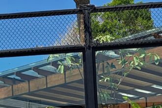 Alexander Chang Rengkuh Gelar UTR Pro Tennis Tour Bali