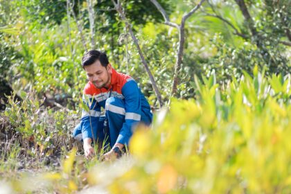 Lestarikan Ekosistem Pesisir Pertamina Hadir Dalam Pengembangan Kawasan Mangrove dan Pengelolaan Sampah Kamal Muara 2