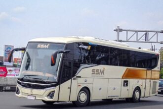 bus