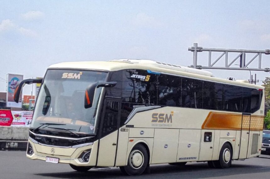 bus