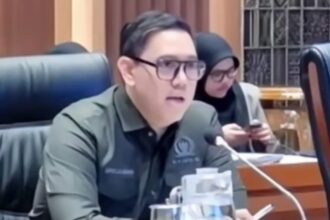 WhatsApp Image 2025 08 26 at 16.39.27 1