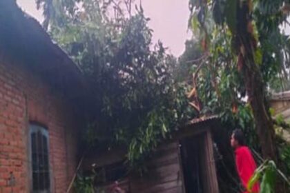 Kondisi rumah warga pasca dilanda angin kencang di Kabupaten Lima Puluh Kota, Sumatera Barat, Jumat (29/8/2025). Foto: BPBD Kab Lima Puluh Kota