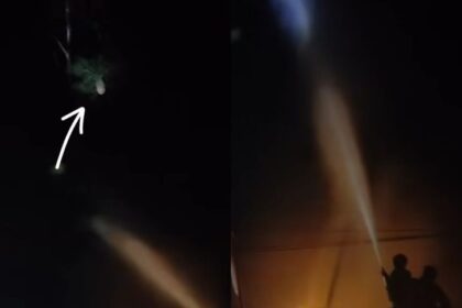 Damkar Ngawi semprot pohon untuk usir pocong, bikin warga heboh. Foto: Tangkap layar TikTok @sonistiawan