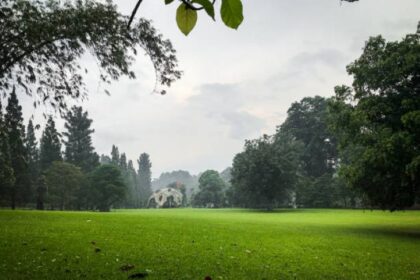 Padang Rumput hijau yang luas di Kebun Raya Bogor. Foto: Istock @Ali Alhamizan