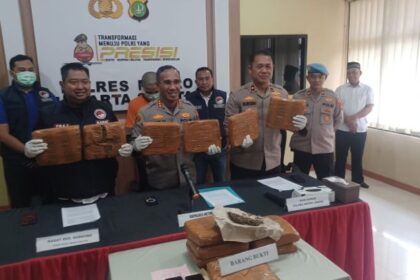Kapolres Metro Jakarta Selatan, Kombes Pol Nicolas Ary Lilipaly didampingi Kasat Narkoba AKBP Prasetio Noegroho dan Kasi Humas Kompol Murodih menunjukkan barang bukti sejumlah paket ganja dan menghadirkan tersangka OM, 28, dalam pengungkapan kasus jaringan pengedar narkotika dikendalikan napi lapas di Mapolres Metro Jakarta Selatan, Selasa (26/8/2025). Foto: Joesvicar Iqbal/ipol.id