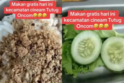 Menu MBG berupa nasi tutug oncom (TO) dengan lauk telur dadar serta sayuran mentah di di Kecamatan Cineam, Tasikmalaya. Foto: Tangkap layar TikTok @Bintang_family98.