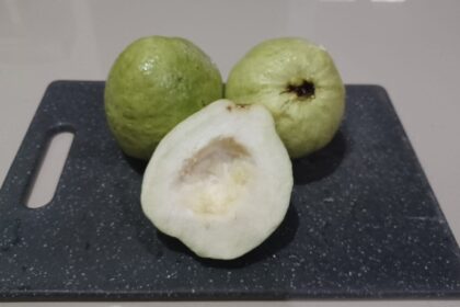 Jambu kristal rendah kalori, kaya serat, vitamin C, dan mineral dapat mendukung kesehatan tubuh secara menyeluruh. Foto: Joesvicar Iqbal/ipol.id