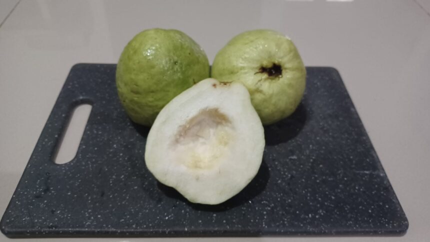Jambu kristal rendah kalori, kaya serat, vitamin C, dan mineral dapat mendukung kesehatan tubuh secara menyeluruh. Foto: Joesvicar Iqbal/ipol.id