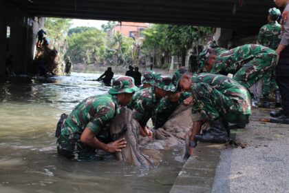 Kodam IX/Udayana terjunkan ratusan prajurit bantu evakuasi dan distribusi bantuan pasca banjir di Bali. Foto: Dok Kodam IX/Udayana