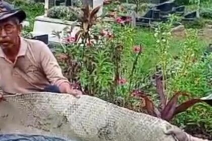 Tangkapan layar mayat utuh selama 4 tahun terkubur.