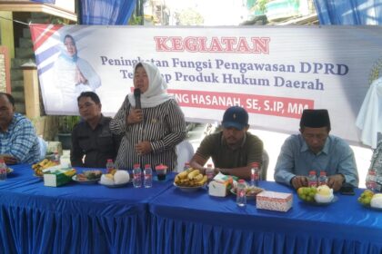 Anggota DPRD DKI, Neneng Hasanah di acara peningkatan fungsi pengawasan DPRD DKI terhadap produk hukum daerah.(Foto sofian/ipol.id)
