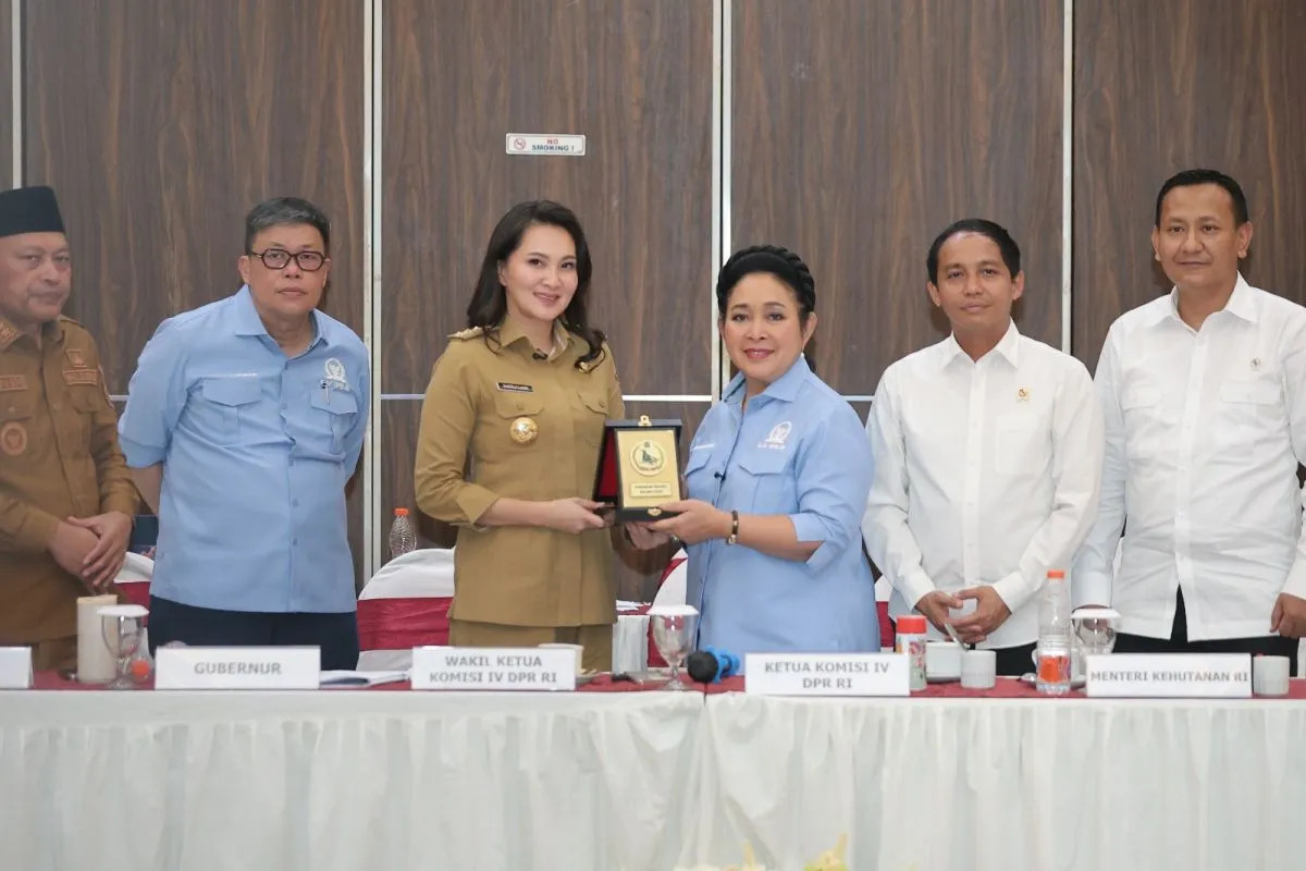 Klarifikasi Penyitaan Lahan, PT Weda Bay Nickel Sebut Nama PT Position ...