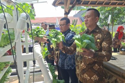 Asisten Perekonomian Pembangunan dan Lingkungan Hidup Sekretariat Kota Administrasi Jakarta Timur, Fauzi dan jajaran Aparatur Sipil Negara (ASN) Pemkot Jakarta Timur saat panen sayuran hasil urban farming dan menanam pohon untuk penghijauan wilayah. Foto: Ist