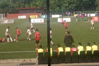Federasi Sepakbola Mini Indonesia (FSMI) menyelenggarakan turnamen Indonesia Minifootball Series yang akan digelar dibeberapa wilayah yakni Jakarta, Bogor-Depok, dan Bandung. 