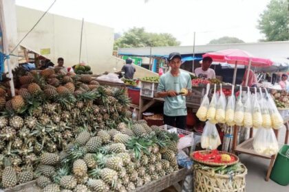 Pedagang nanas bernama Nadi Sugiharto sukses kembangkan produk olahan yang diminati pasar berkat dukungan KUR BRI. Foto: Dok BRI