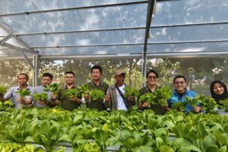 Shinji Teraoka, Presiden Direktur, PT Sharp Electronics Indonesia bersama perwakilan benihbaik, pelatih program Sharp Hydro Heroes berfoto bersama saat proses panen